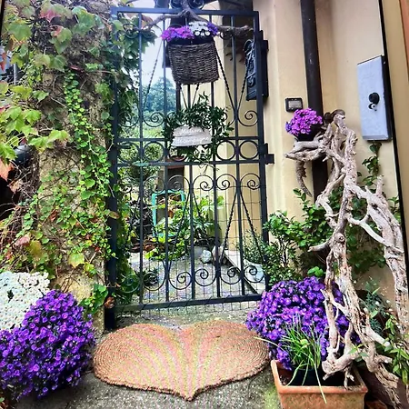 La Petite Calice Ligure